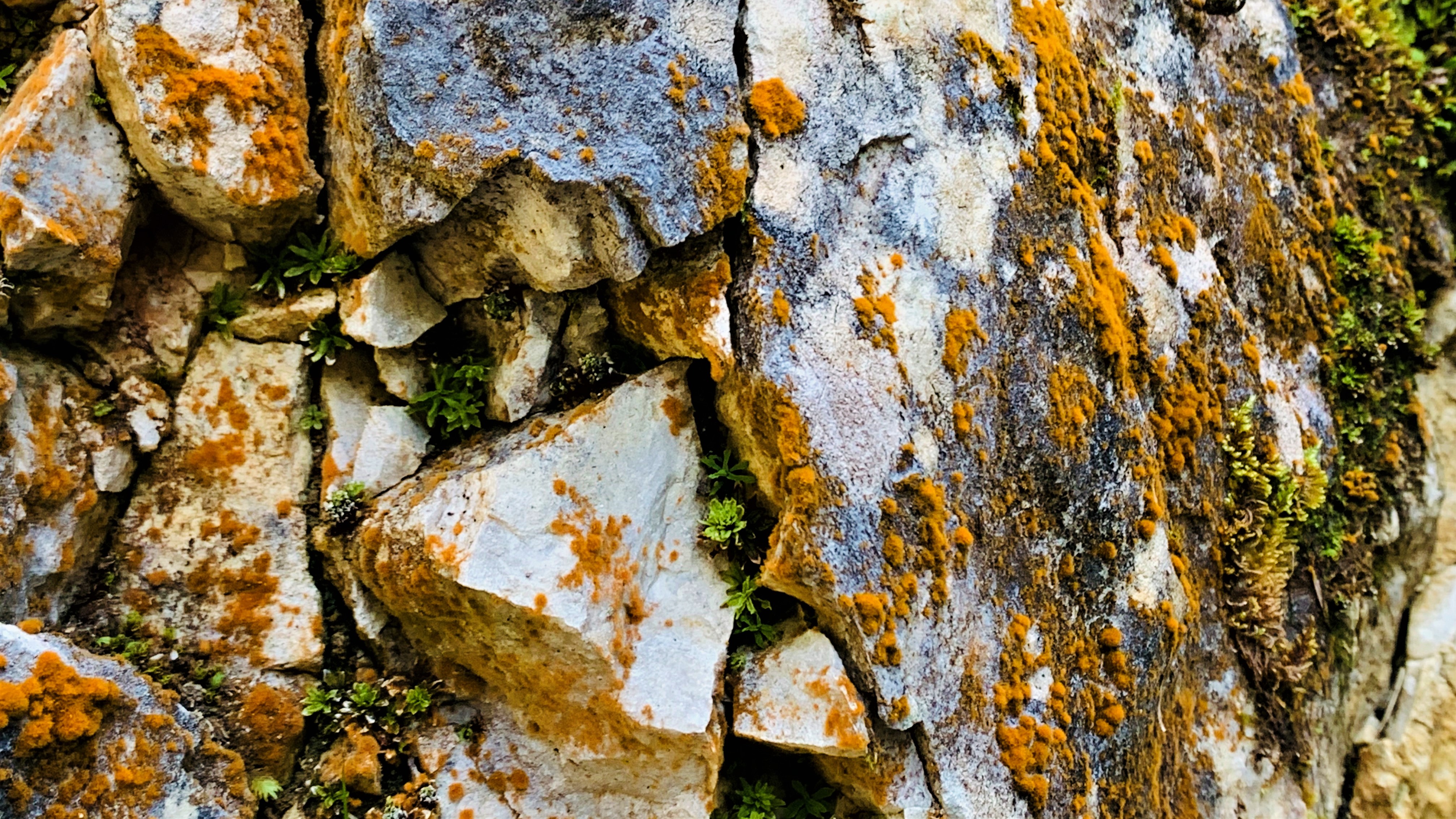 STONE 12